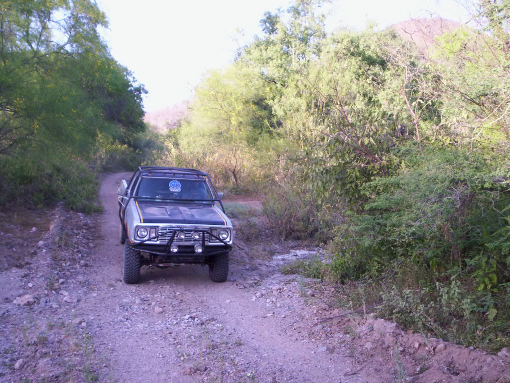 Name:  FOTOSCAMARAFRANKI682.jpg
Views: 140
Size:  178.0 KB