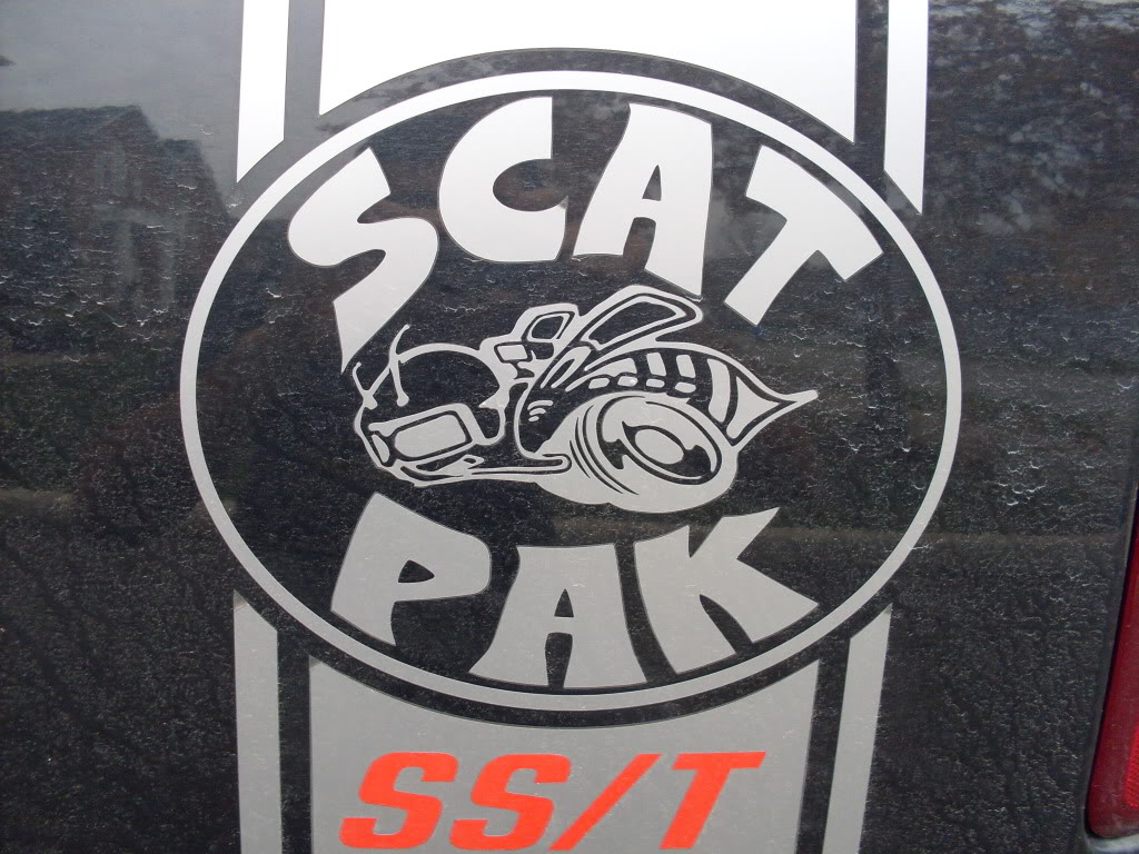 Name:  SDC10011.jpg
Views: 120
Size:  193.2 KB