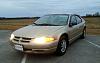 NC Newb-20131123_165917.jpg
