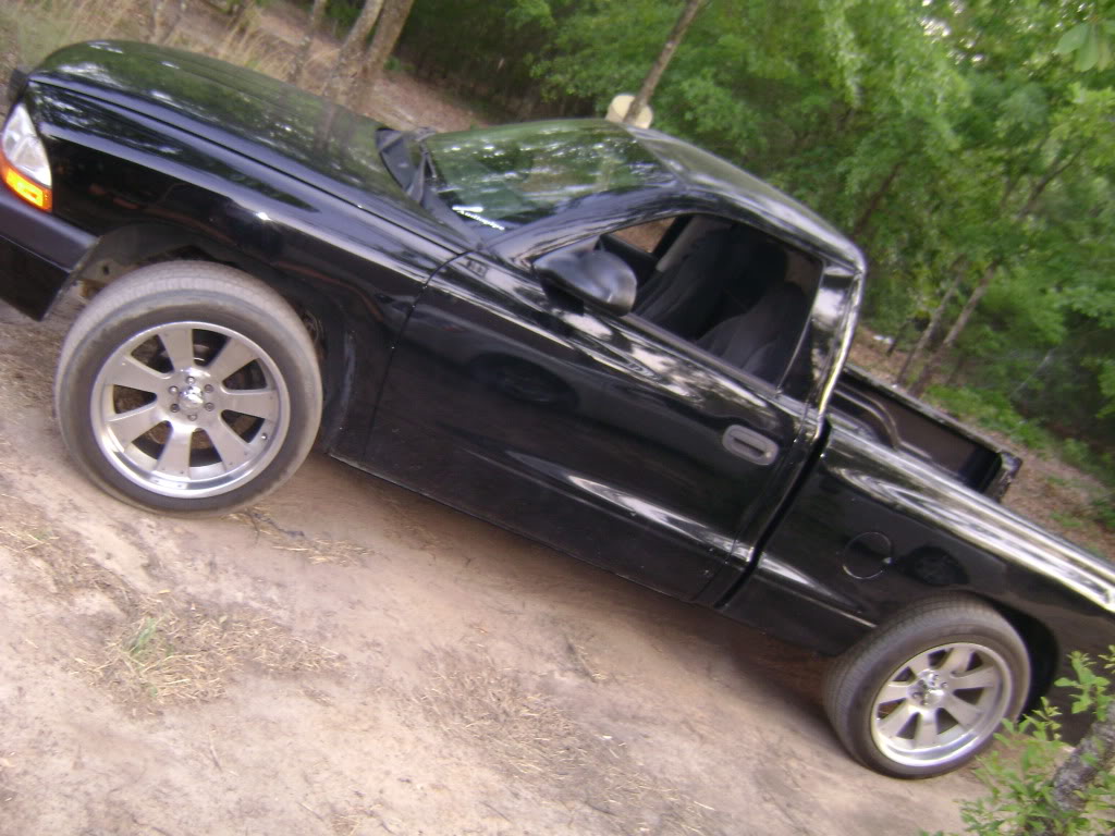 Name:  CopyofDSC01941.jpg
Views: 42
Size:  129.2 KB