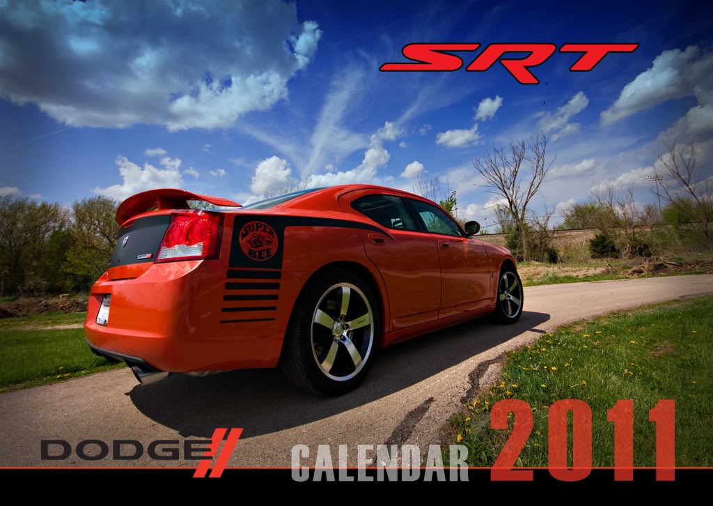 Name:  srt_cover.jpg
Views: 45
Size:  137.7 KB
