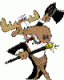 bullwinkle's Avatar