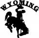 Wyoming_87's Avatar