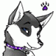 kodahusky's Avatar