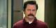 Ron Swanson's Avatar