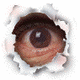 Icon_'s Avatar
