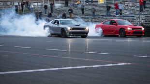 Hellcat Meets Hellcat – Chaos Ensues