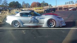 Why Would Anyone Do This to a Viper?