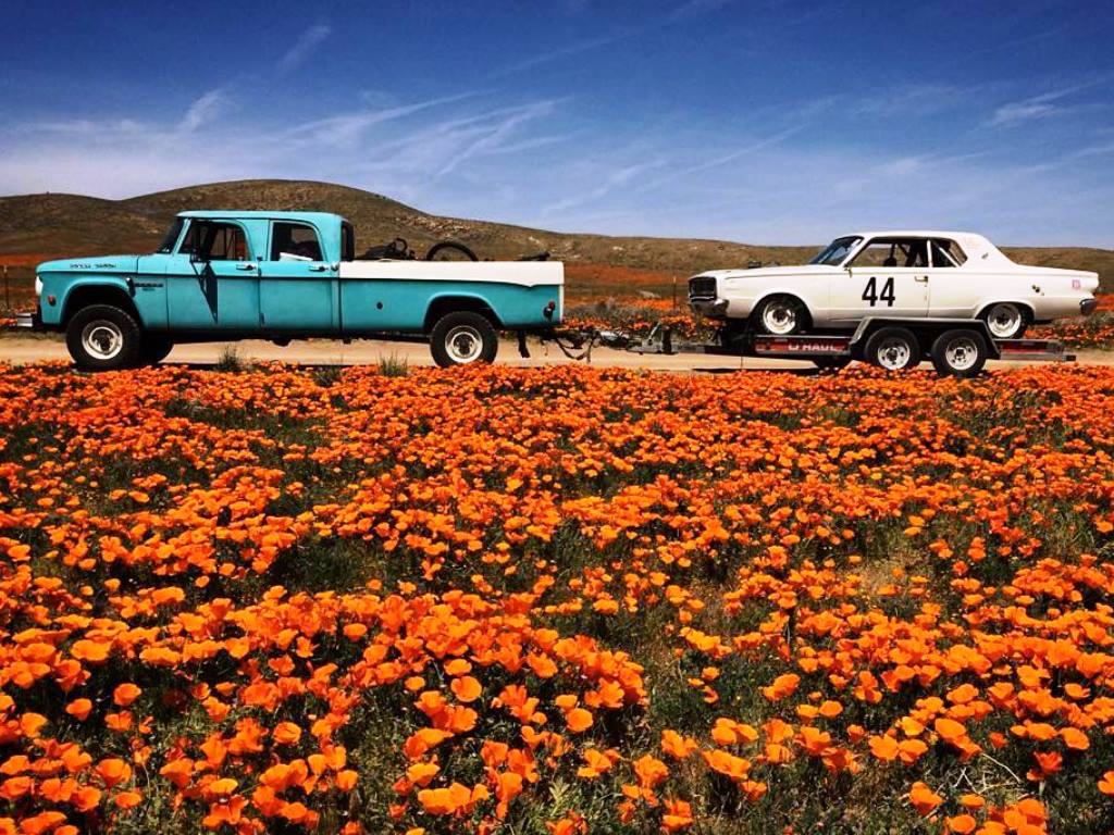 Classic Power Wagon Hauls Daytona to Track