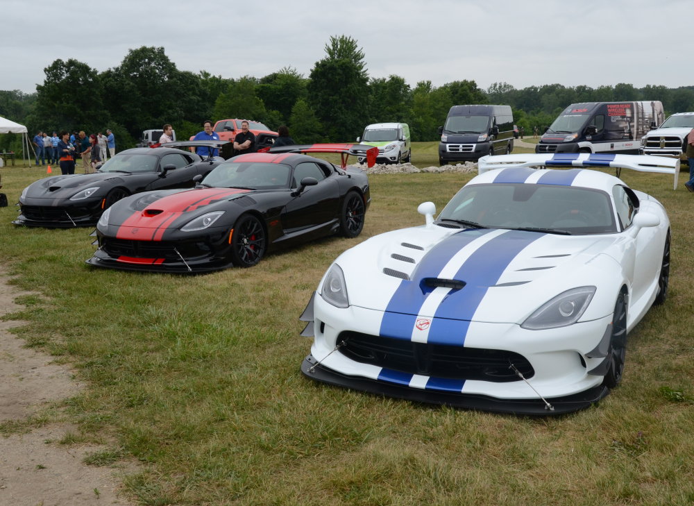 Final Gen V Viper Lineup