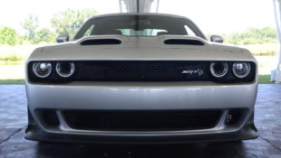 Challenger Redeye Low Front