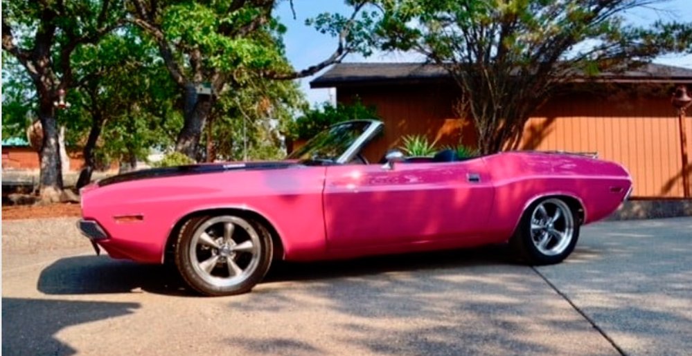 1970 Dodge Challenger in Panther Pink Top Down