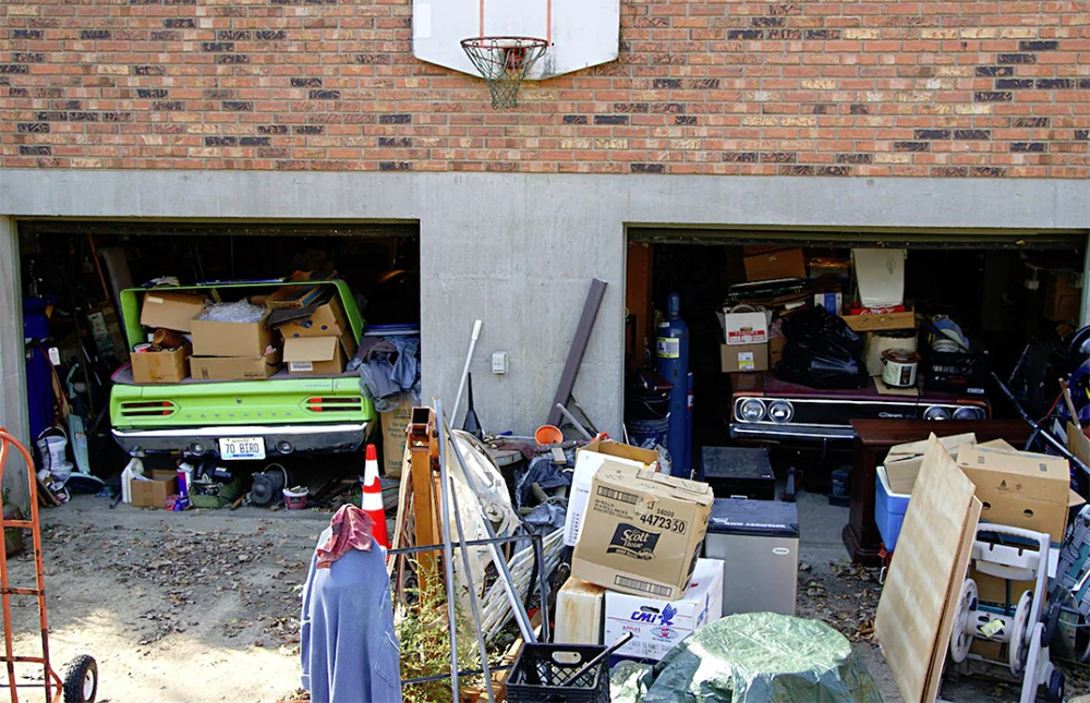 Superbird and Daytona