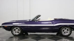 Violet Velocity: 1971 Dodge Challenger Stuns