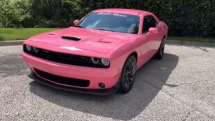 Pink Challenger
